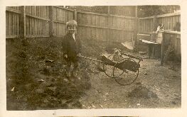 Des & Teddy bear & dog cart ?