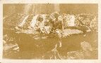 l-r: Jean Winters, Keith Winters, Billy Hutchins, Lillian Cook. Russell Falls <New Years Day 1926?>