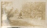 Lillian Cook <?>, Botanical Gardens