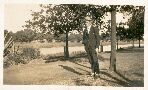 Bill W senior <beside Yarra?>